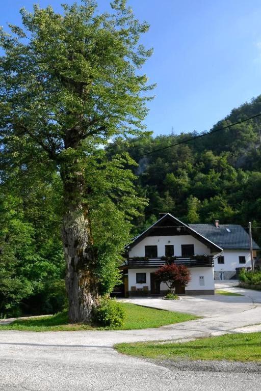 Apartma Pri Lipi Bohinj Exterior foto